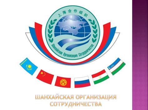 Организация сотрудничества с партнером по тренировкам