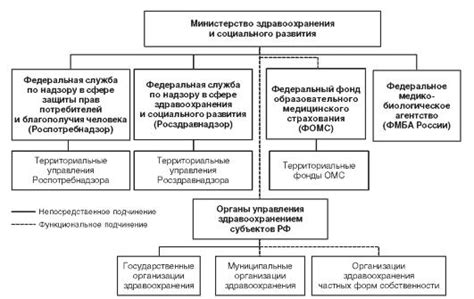 Органы управления в сфере здравоохранения: важные акторы системы