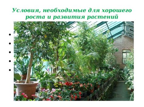 Освещение, температурный режим и влажность