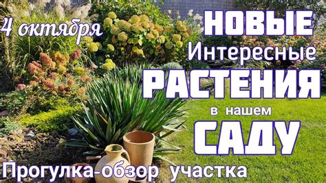 Осмотровая прогулка вокруг потенциального приобретения