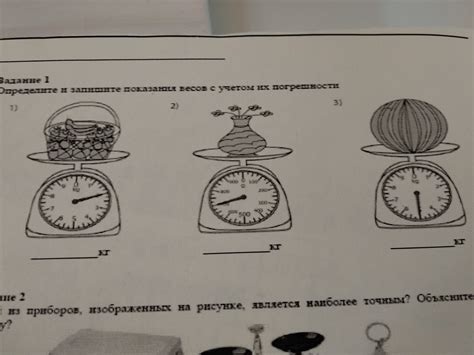Осмотр весов с проверкой целостности и отсутствия дефектов