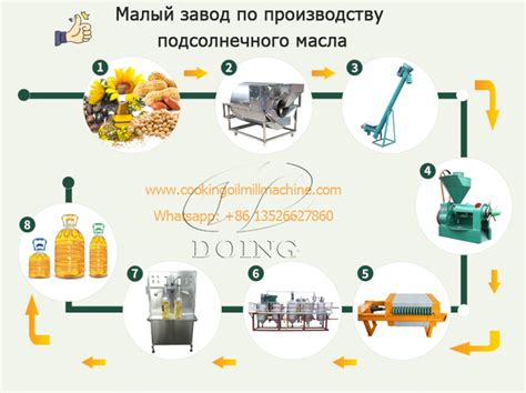 Осмысленность аромата и вкуса: ключевые моменты определения качества масла