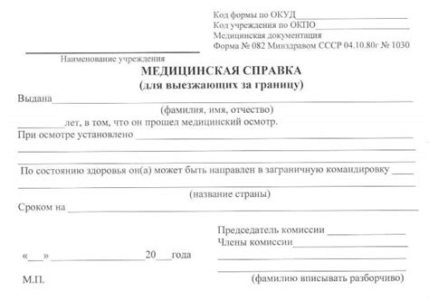 Основная информация о документе для выезда за границу из Таджикистана