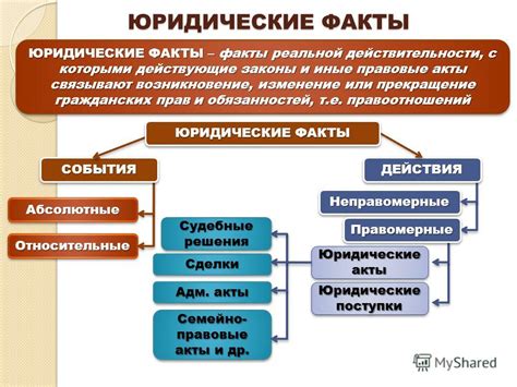 Основные аспекты и функции юридических комитетов: суть и роль в экономическом процессе