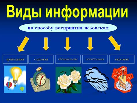 Основные виды хранилищ информации