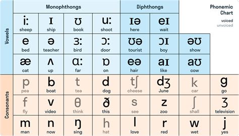 Основные звуки в английском языке и их произношение