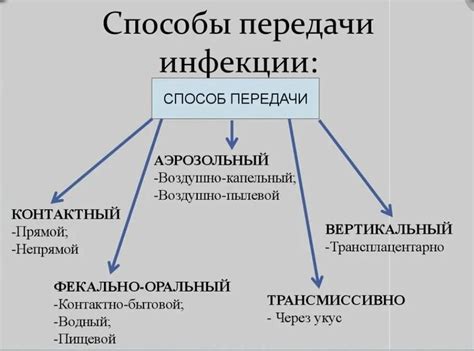 Основные источники инфекции и способы передачи