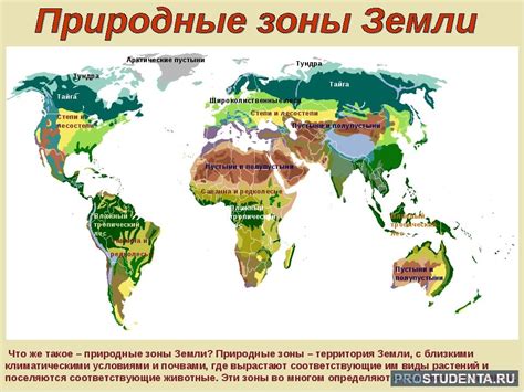 Основные климатические зоны и погодные условия