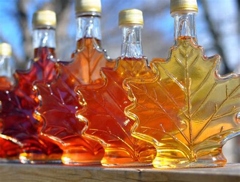 Основные компоненты для приготовления изысканного кленового сиропа