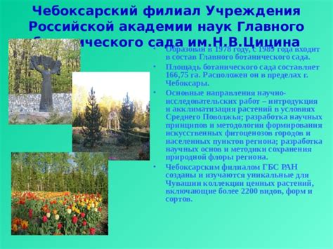 Основные направления деятельности Ботанического парка в Самаре