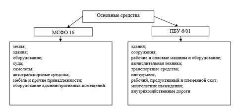 Основные отличия между специализированными и общими магазинами