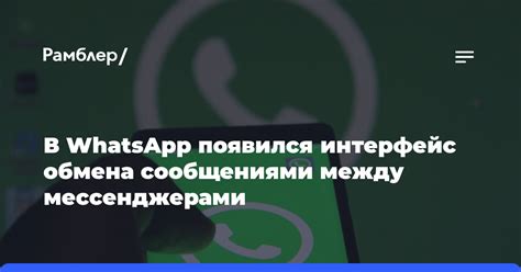 Основные параметры обмена сообщениями в приложении WhatsApp: информация, о которой следует знать