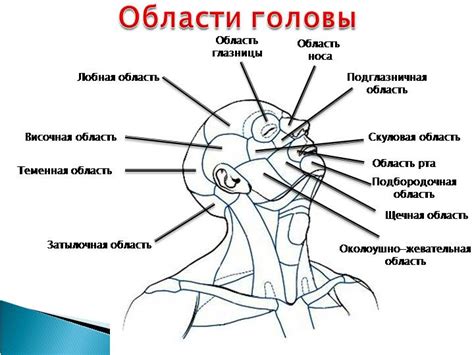 Основные подходы к исправлению вогнутости на верхней части лица