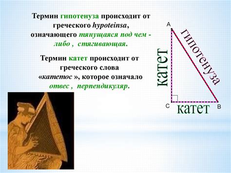 Основные понятия: гипотенуза и катеты