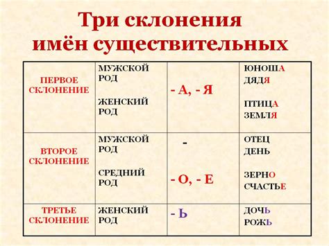 Основные правила склонения и спряжения слов