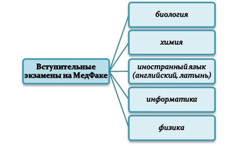 Основные предметы для успешного поступления на строительный факультет