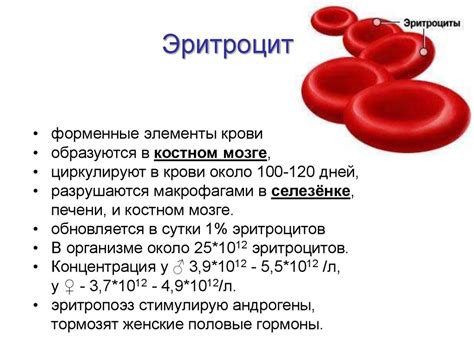 Основные признаки недостатка эритроцитов у ребенка