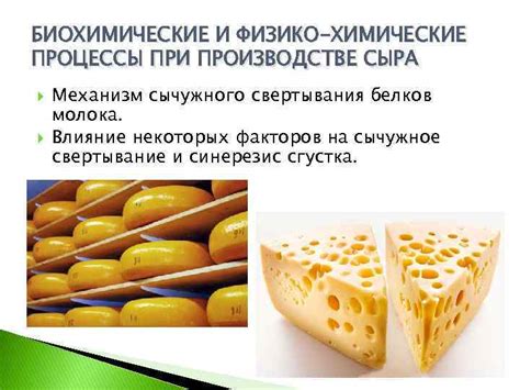Основные признаки подлинного сычужного сыра: текстура и структура