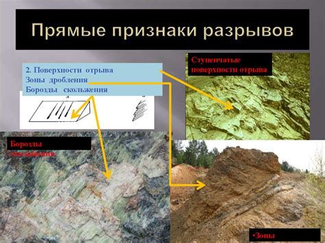 Основные признаки разрывов на области половых поверхностей