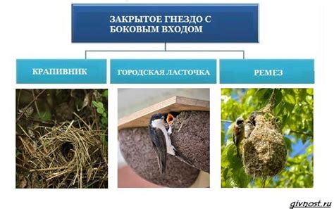 Основные применения гнезда ремеза