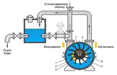 Основные принципы действия вакуумных упаковок: ключевые аспекты