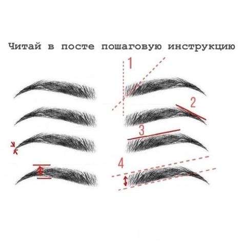 Основные принципы долгосрочного моделирования бровей