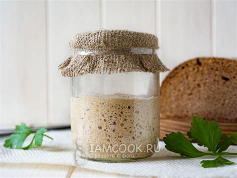 Основные принципы заботы о закваске для хлеба