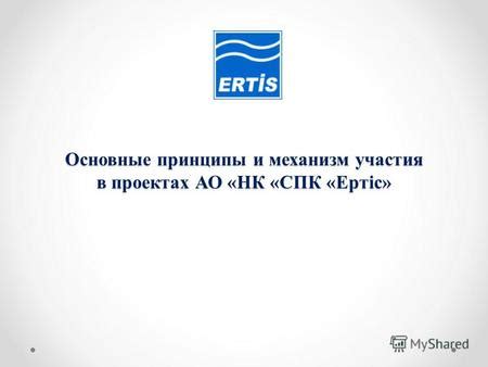 Основные принципы и механизм долевого участия в инвестиционных фондах