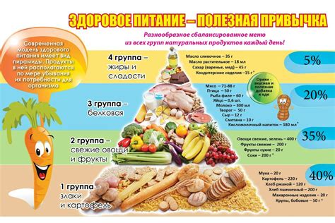 Основные принципы и рекомендации по питанию маленьких кошечек