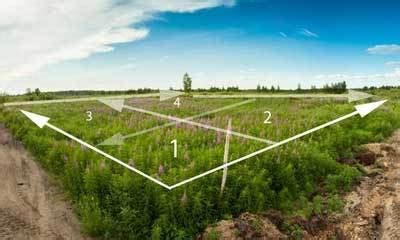 Основные принципы определения границ земельного участка по межеванию