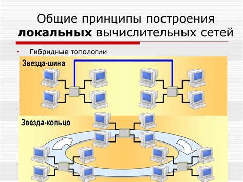 Основные принципы работы Кюнета: суть и задачи сети