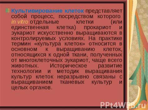 Основные принципы установки и размещения клеток