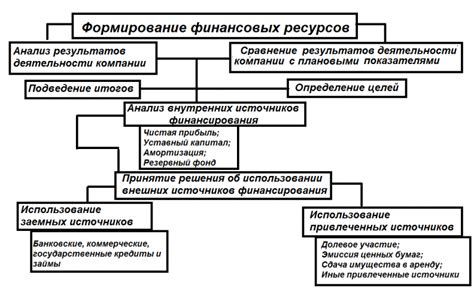 Основные принципы формирования акций с особыми привилегиями