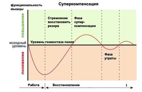 Основные принципы эффективного восстановления после интенсивной тренировки