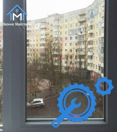 Основные причины ломки голубями окон