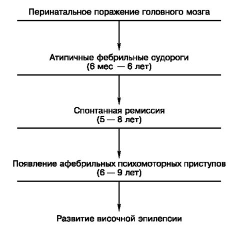 Основные проявления при парциальных судорогах у взрослых