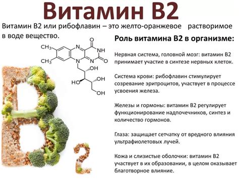 Основные роли витамина В2 в биохимических процессах