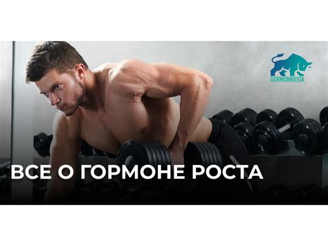 Основные свойства гормона роста и его роль в организме