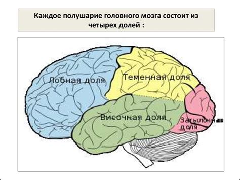 Основные симптомы глиомы правой лобной доли