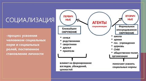 Основные факторы, влияющие на нарушение гомеостаза