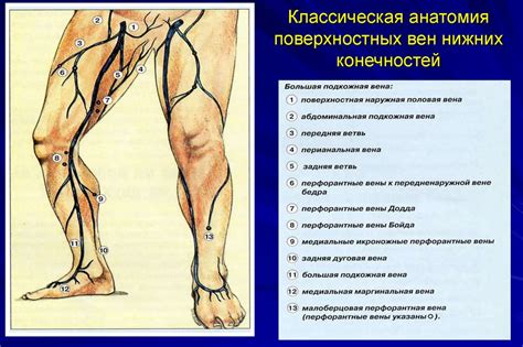 Основные факторы, вызывающие болевые ощущения в сосудах нижних конечностей