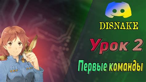 Основные функции и команды: практическое использование Disnake