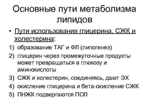 Основные цели использования глицерина