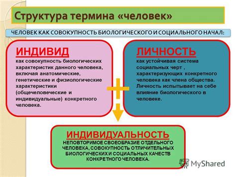 Основные черты и понятие человеческой индивидуальности