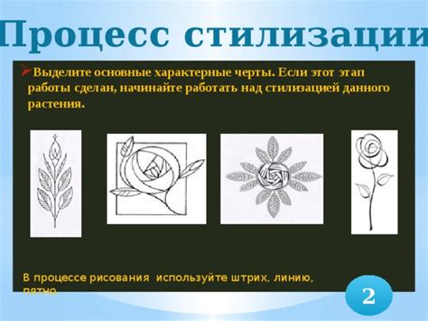 Основные шаги в процессе домашней стилизации