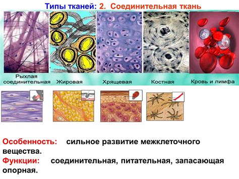 Основные элементы ткани ПЭ 100 и их характеристики