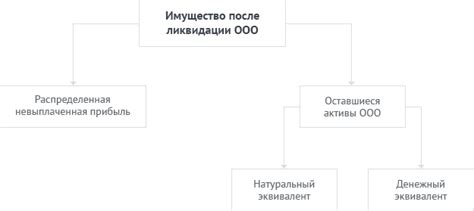 Основные этапы восстановления деятельности ООО после ликвидации