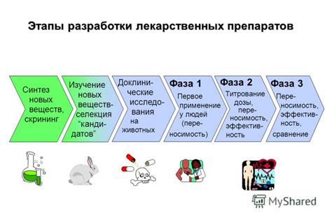 Основные этапы успешного создания медицинского заведения в растении