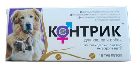 Основные этапы цикла половой активности у кошек
