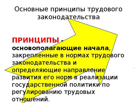Основополагающие принципы упорядочивания законодательства